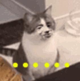 韩国口碑最好的彩妆单品,中国最好用的韩妆排行