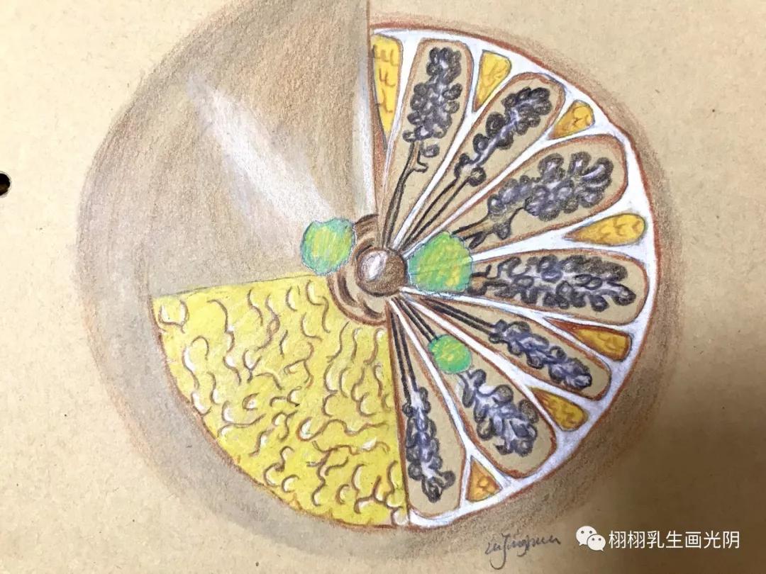 乳腺囊肿为什么会得这个病,乳腺囊肿的科普