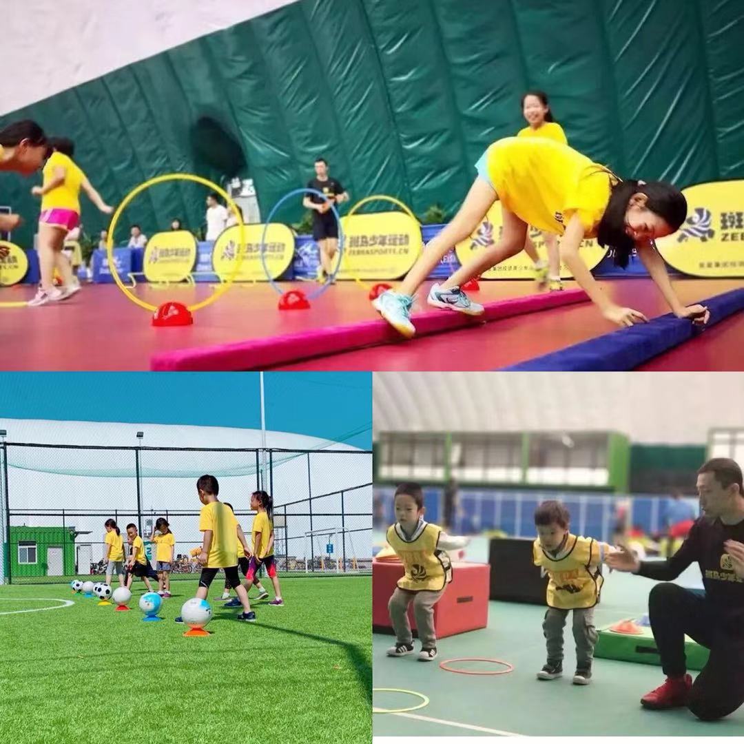 斑马少儿全方位能力成长平台,斑马少儿体能训练