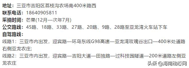 趁着春光出游海南,趁着春光明媚去旅行