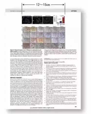 国际sci期刊论文写作与发表,一篇sci论文需要哪些图片