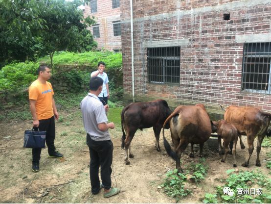 摔成中度脑震荡，醒来依然惦记着贫困户...