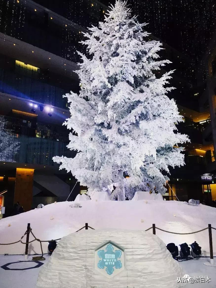 东京米其林三星预定,东京米其林三星法餐银座