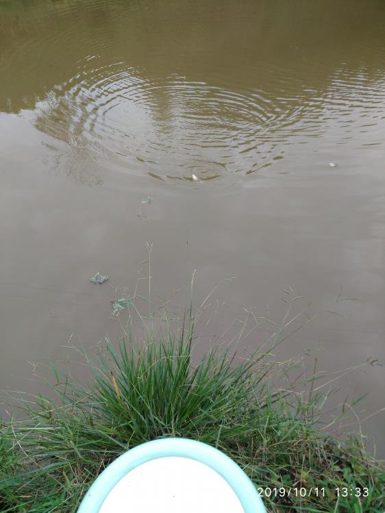 本汀宗师有限量版吗,本汀太极宗师黑坑竿