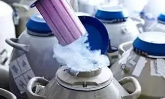 胚胎｜说说胚胎那些事