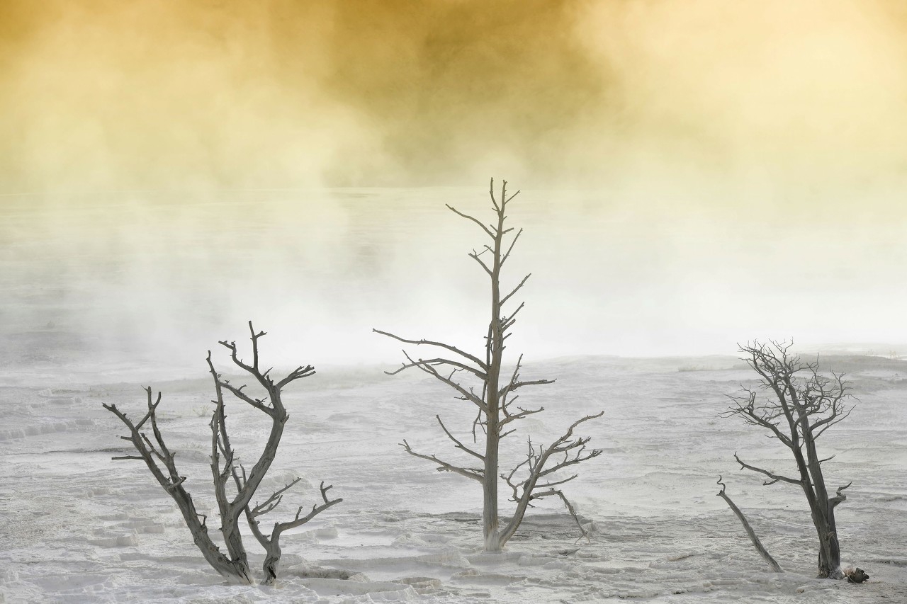 给自己寄一封信,什么东西可以给未来的自己写信