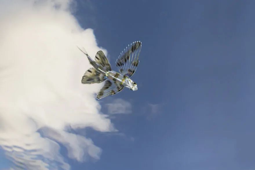 16幅海洋摄影佳作,每一张都饱含深意,第一幅就让人陷入沉思