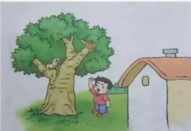 一二年级常考看图写话16篇含答案,一二年级看图写话常用词句式总结