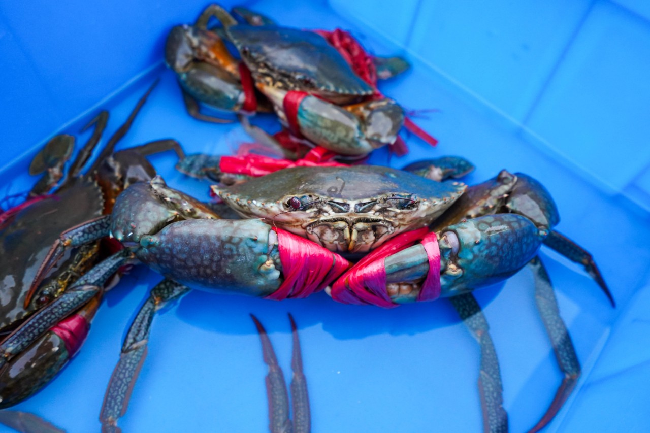 海南文昌温德姆酒店,文昌温德姆酒店排名