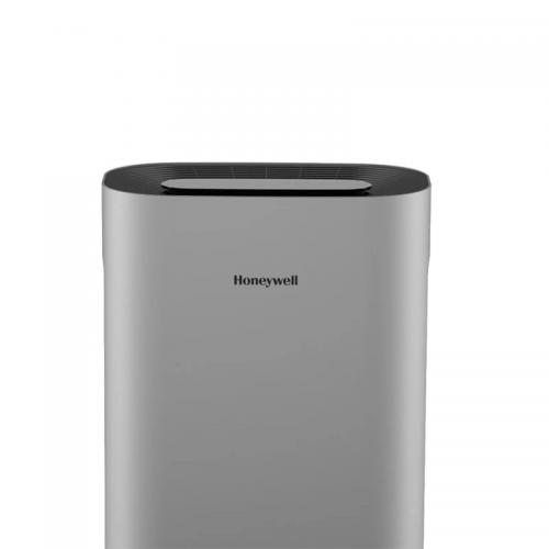 哪些植物去除甲醛最快最有效,哪几种植物能除甲醛