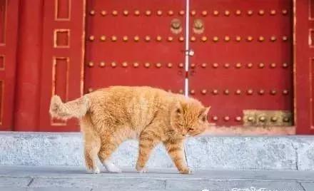 玩转京城北京,游北京游记