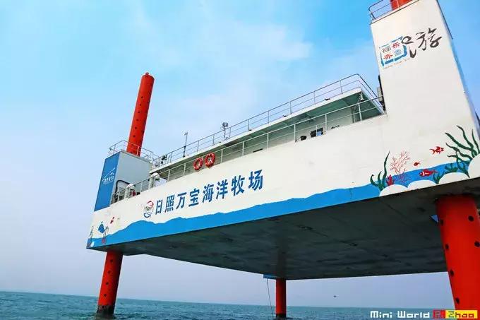 藏在日照的海边，竟然有一处世外桃源，赶海，捕鱼，温馨民宿……