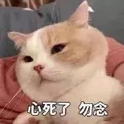 直男审美被吐槽上热搜,直男对女生的吐槽