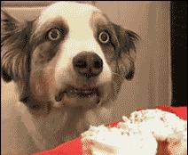 厨房即地狱,吃人不眨眼