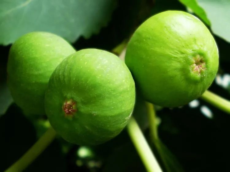 各地人看威海,威海的夏天是什么样的