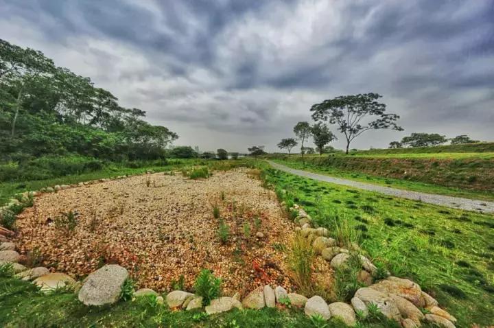 一些武汉的好消息,好消息武汉地铁1号线