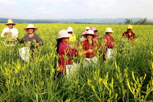 铜川印台发展,铜川市印台区产业园