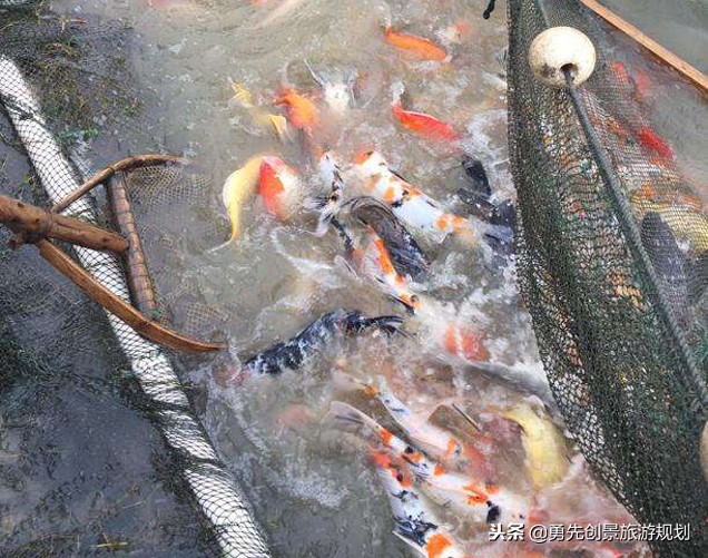 农村旅游创业做什么好点,乡村做什么挣钱