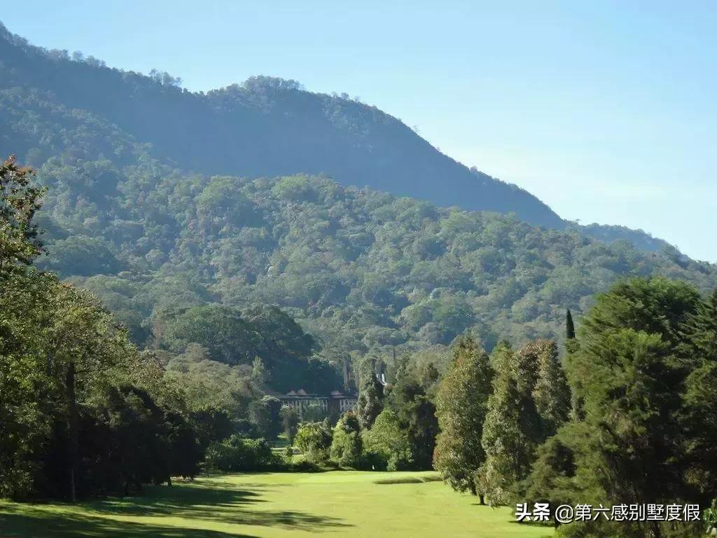 小s徐熙娣最新广告,小s徐熙娣走秀头发遮脸