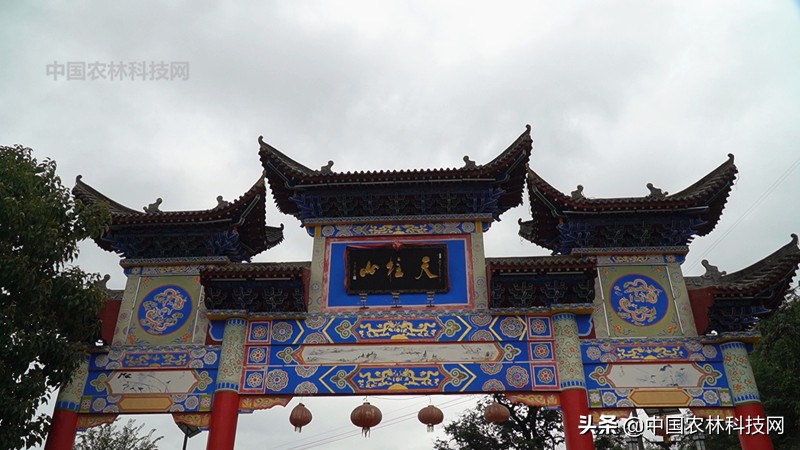 天水到大水川一日游,自驾游到天柱山停哪里最方便