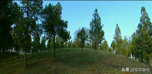 闵子骞诞辰,孝道的闵子骞