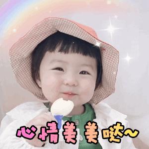 绿色轮子购物袋,绿色购物袋