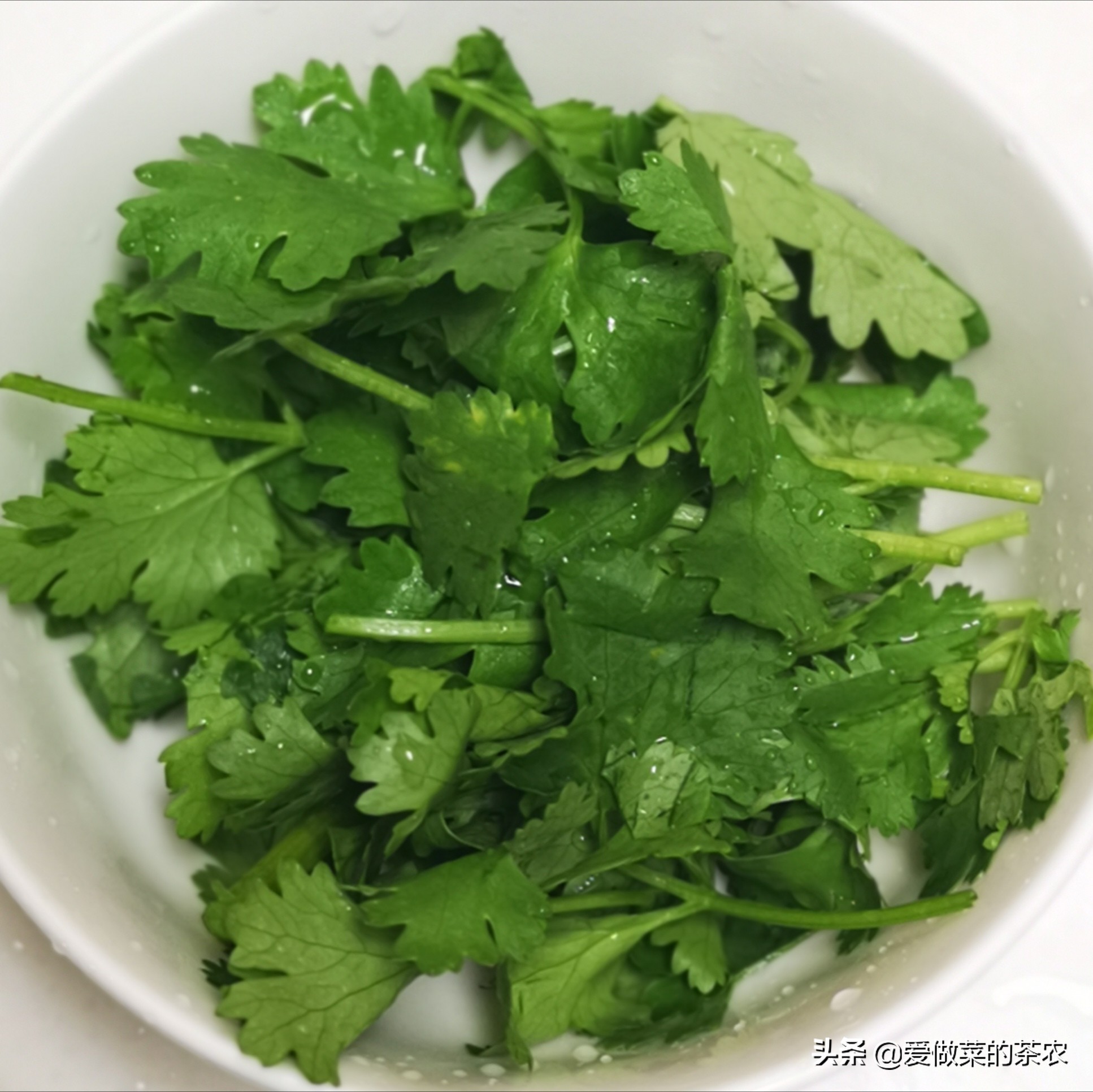 怎么腌鸡肉炒出来又嫩又好吃,怎样腌制鸡肉爽滑不柴好吃又简单