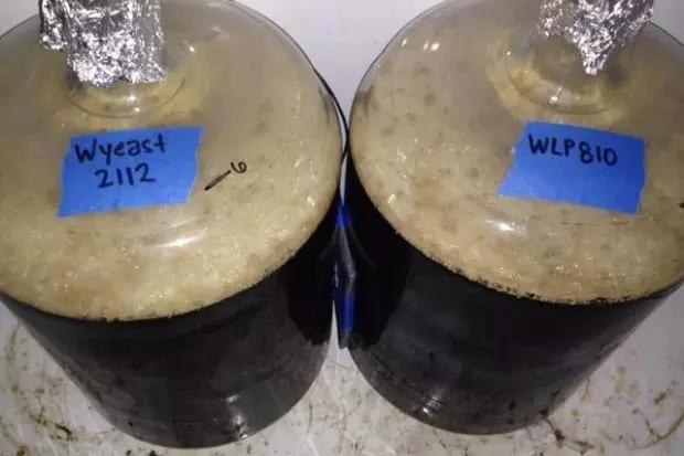 怎么分啤酒是艾尔还是拉格,原浆啤酒属于拉格还是艾尔