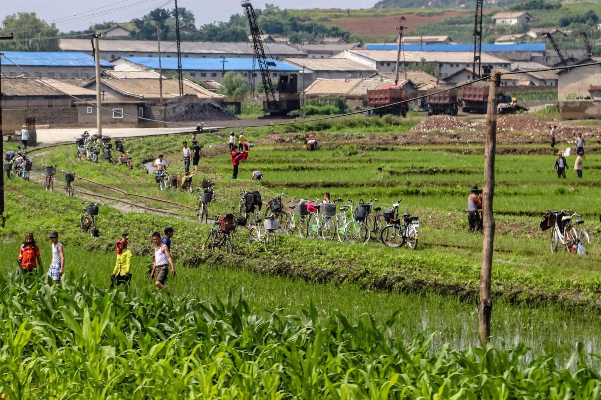 朝鲜人均每月收入多少,朝鲜人人均月收入