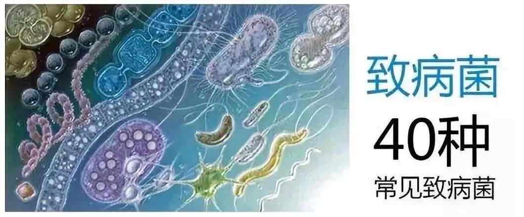 墙角下水道防堵塞过滤网,防止水池堵塞下水道纱网