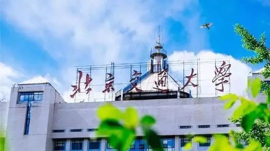 211院校王牌专业最全汇总985除外,985211冷门专业排名前十名