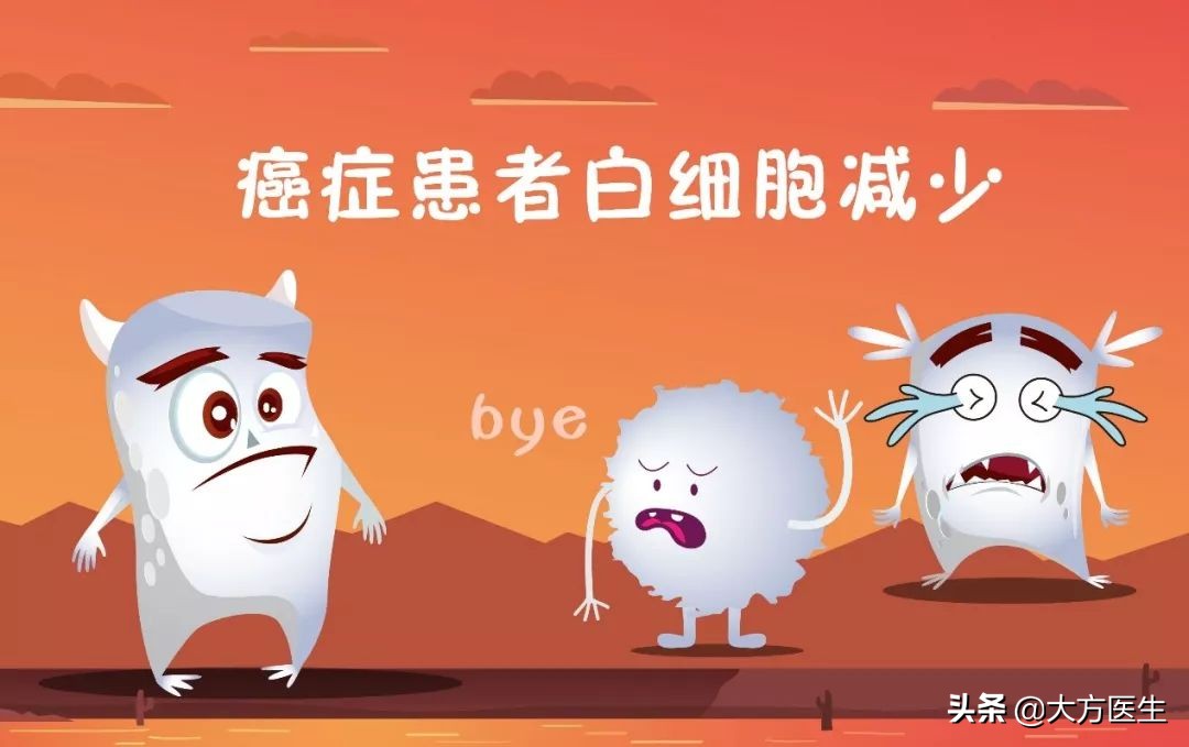 癌症病人白细胞补多了会怎么样,癌症病人白细胞少有哪些危害