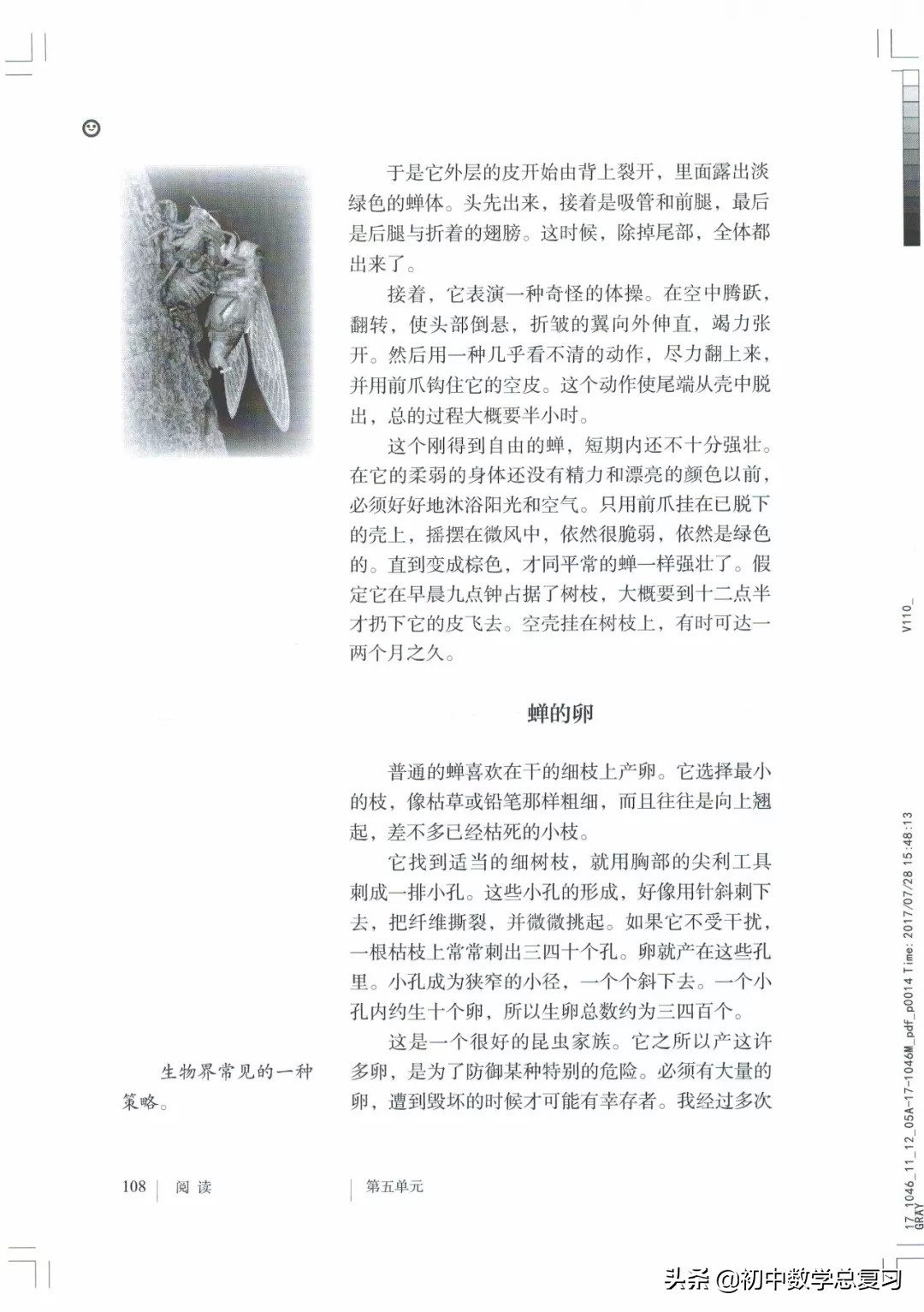 部编版八年级下册语文课本电子版,2021八年级上册语文书电子版人教