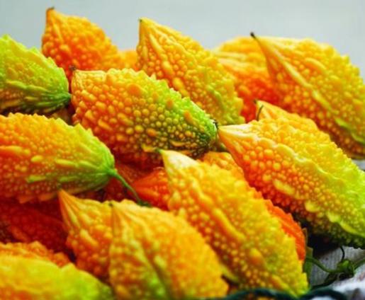 中国本地老品种苦瓜,苦瓜的新品种