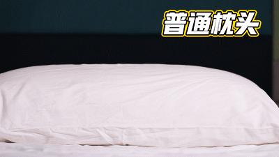 49元包邮泰国天然乳胶枕,真正的泰国乳胶枕品牌