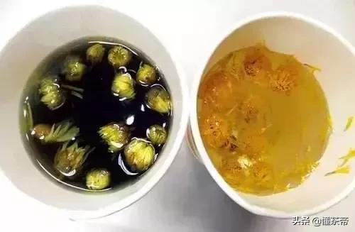 野菊花茶变绿了还能喝吗,菊花茶居然变绿了是不是有毒