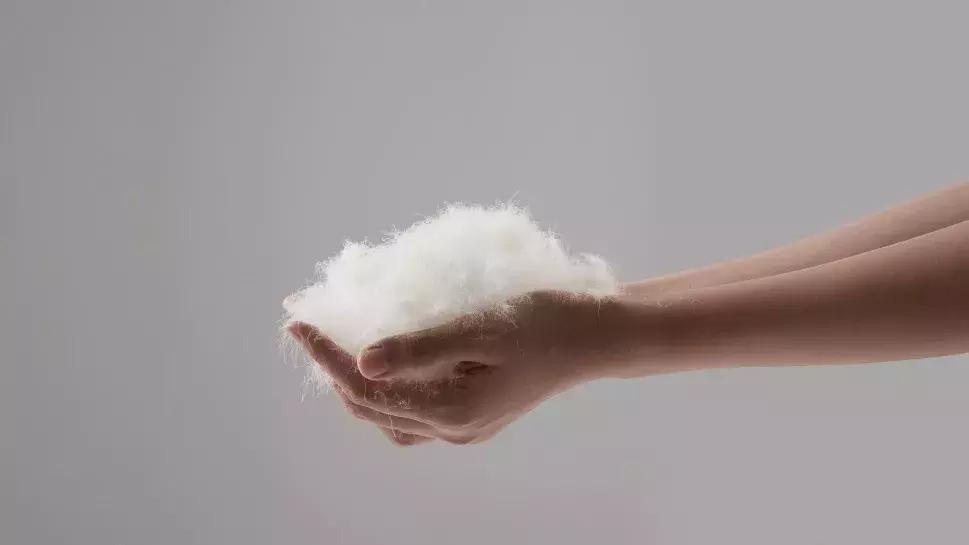 突然间觉得是不是该买件羽绒服了,要不要买羽绒服很纠结