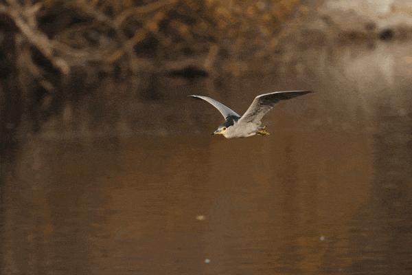 佳能eosr跟rp哪个好,佳能eosrp深度测评