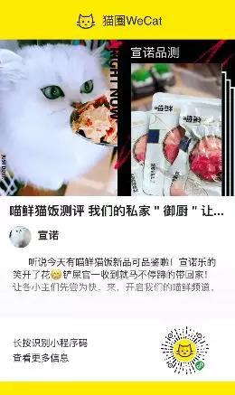 粉丝众测+口碑传播，“猫来了”如何为品牌赋能？