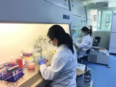 广州排名前十肿瘤医院,广东省肿瘤医院前十名2019