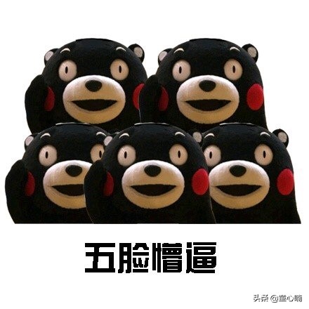 俄罗斯海淘必备清单,如何海淘俄罗斯产品