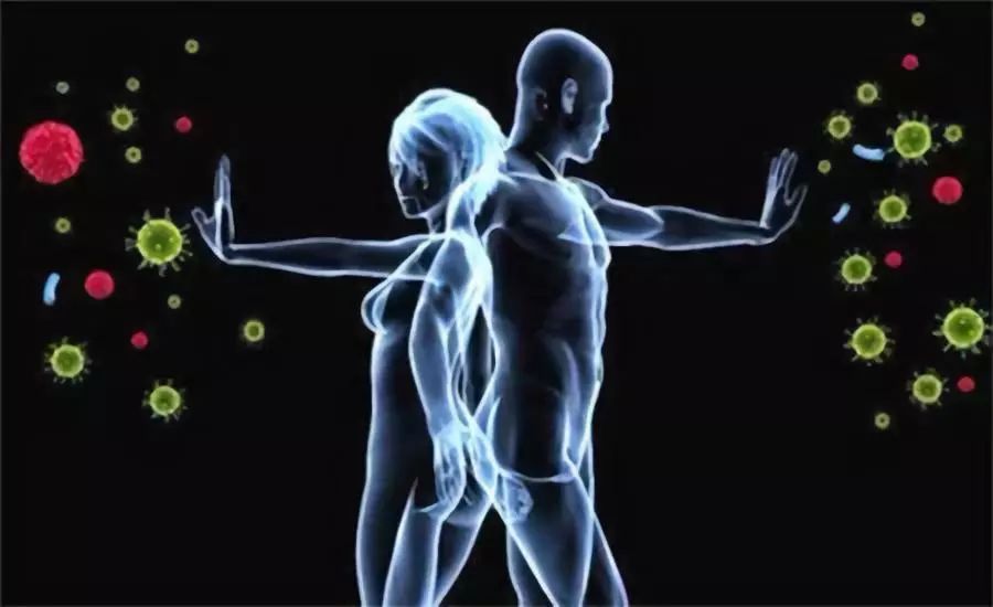 消化系统的健康保护,消化系统免疫系统还有啥