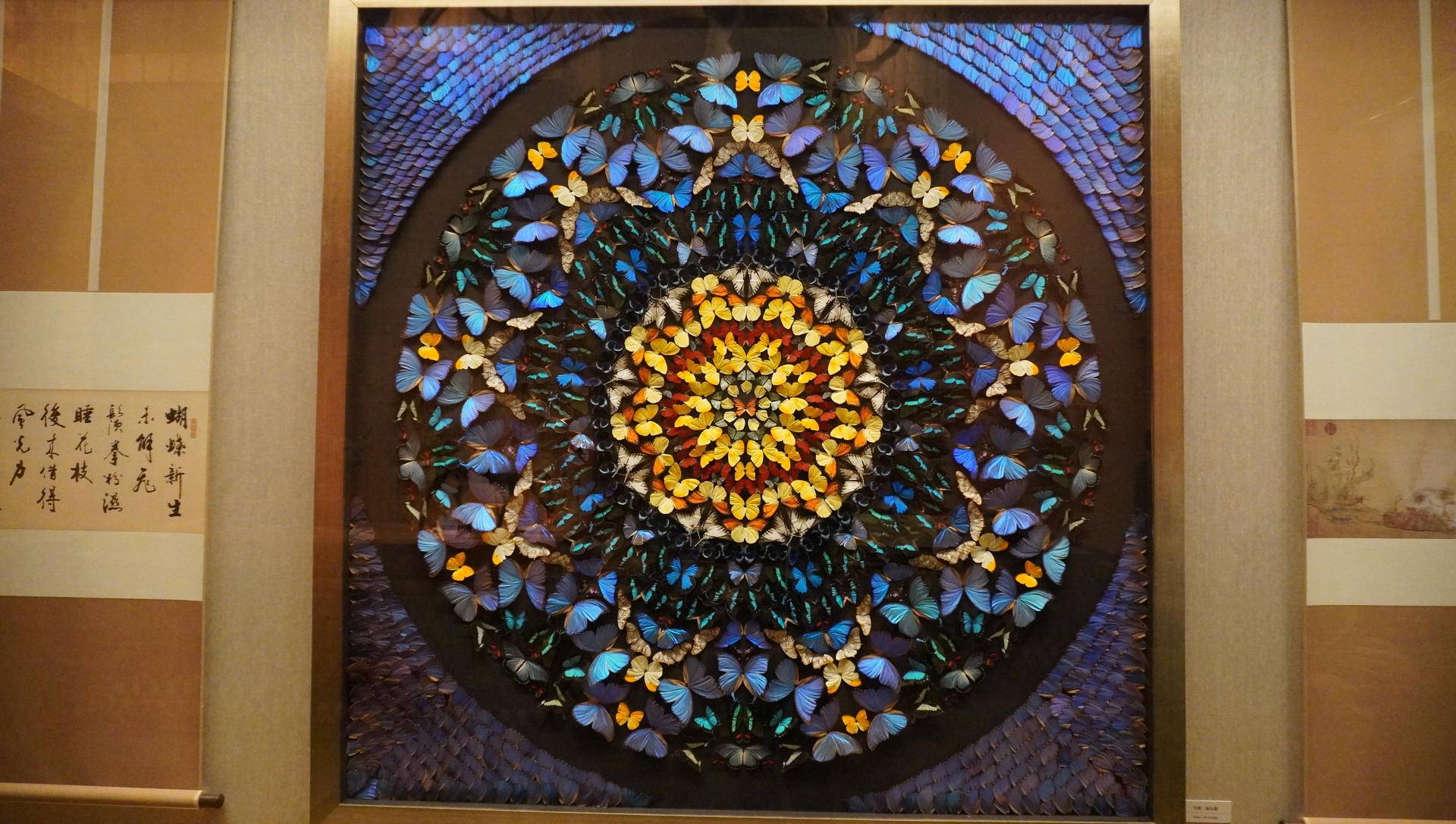 索尼微单6000与6100区别,索尼6100拍抖音评测