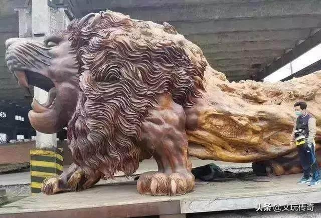网传赵本山花费1800万买入黄金樟木狮子，是不折不扣的根雕发烧友