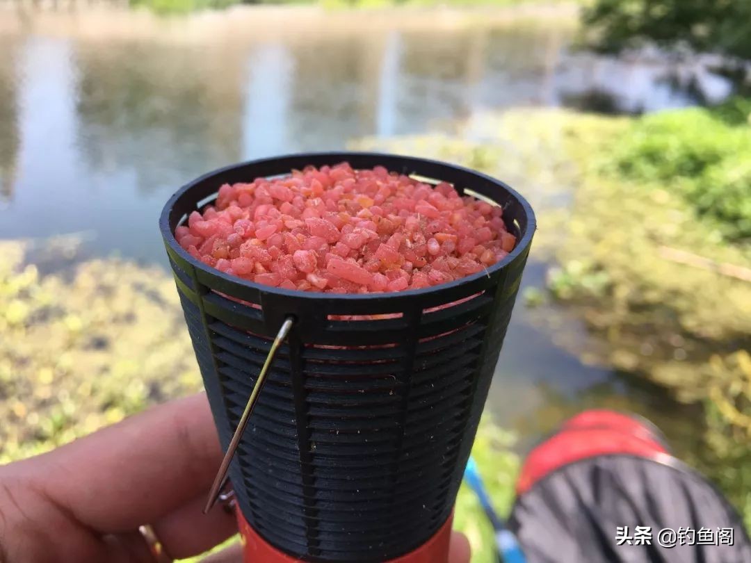 钓鱼酒米怎么诱鱼,酒米钓鲫鱼绝招