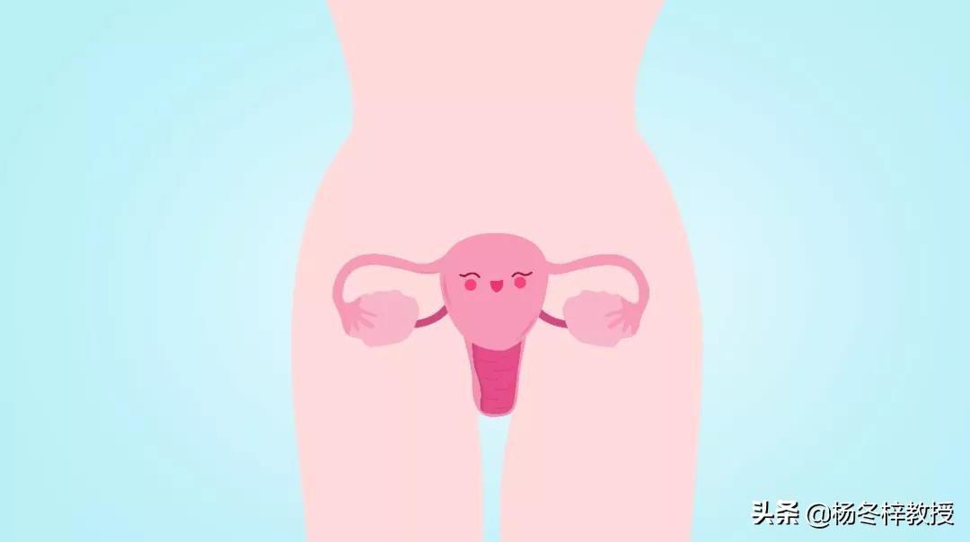 子宫内膜厚度0.8正常吗,绝经子宫内膜厚度多少正常