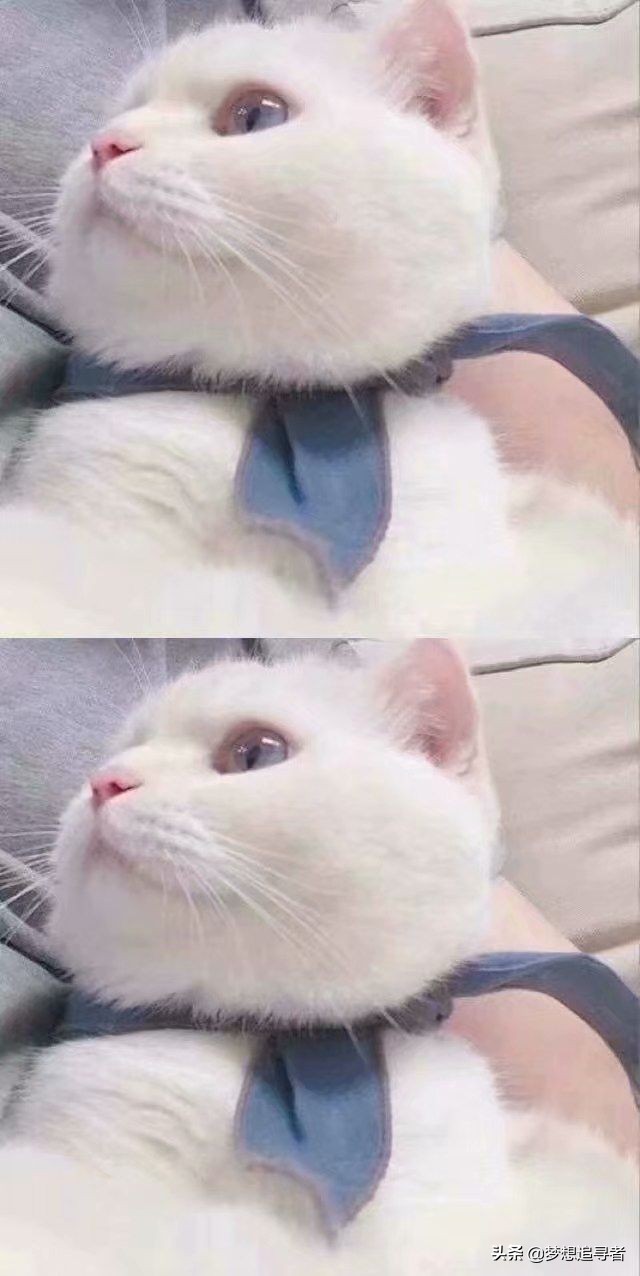 微信说给最爱的人的暖心话,情侣话最暖心短句微信