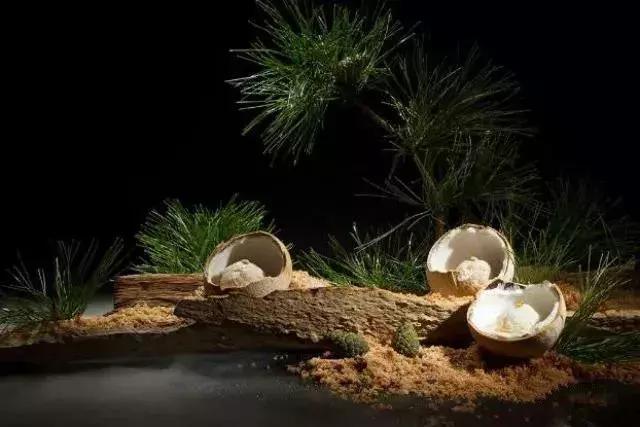 广州最贵的顶级餐厅,中国最贵餐厅排行榜