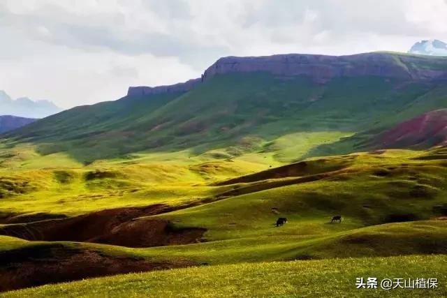 *疆新**克州，向全世界发出邀请！即将涌来大批人马