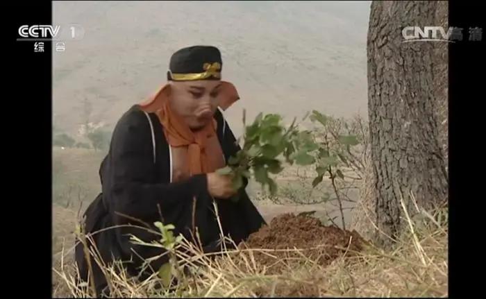 猪八戒真正的变身形态,猪八戒的造型为什么油光满面